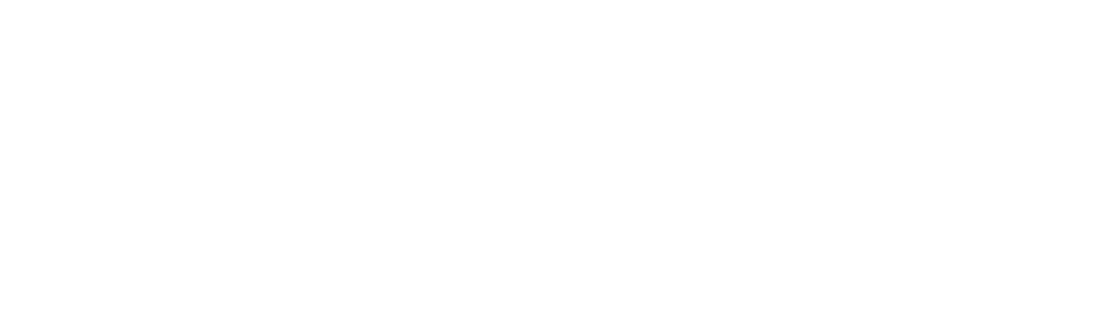 Velivo